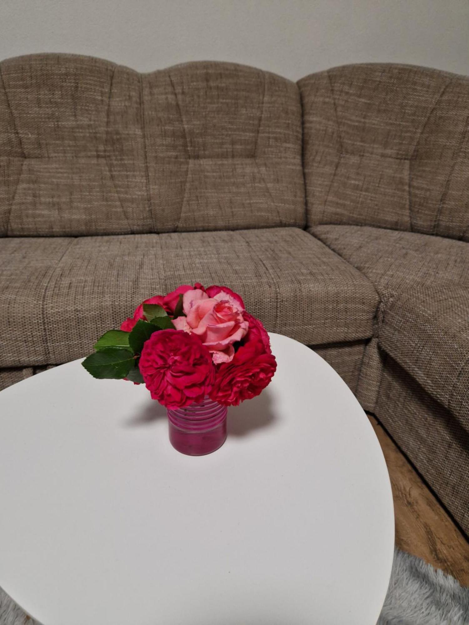 Apartma-Sobe Lejla Vipava Exteriér fotografie